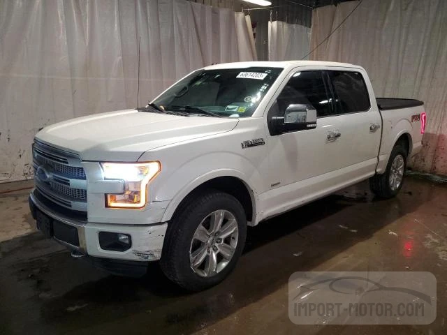 FORD F-150 2016 1ftew1eg8gfd19265