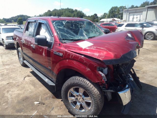 FORD F-150 2015 1ftew1eg9ffb96445