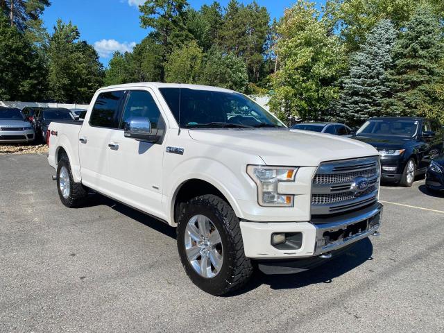 FORD F150 SUPER 2015 1ftew1egxffa32587