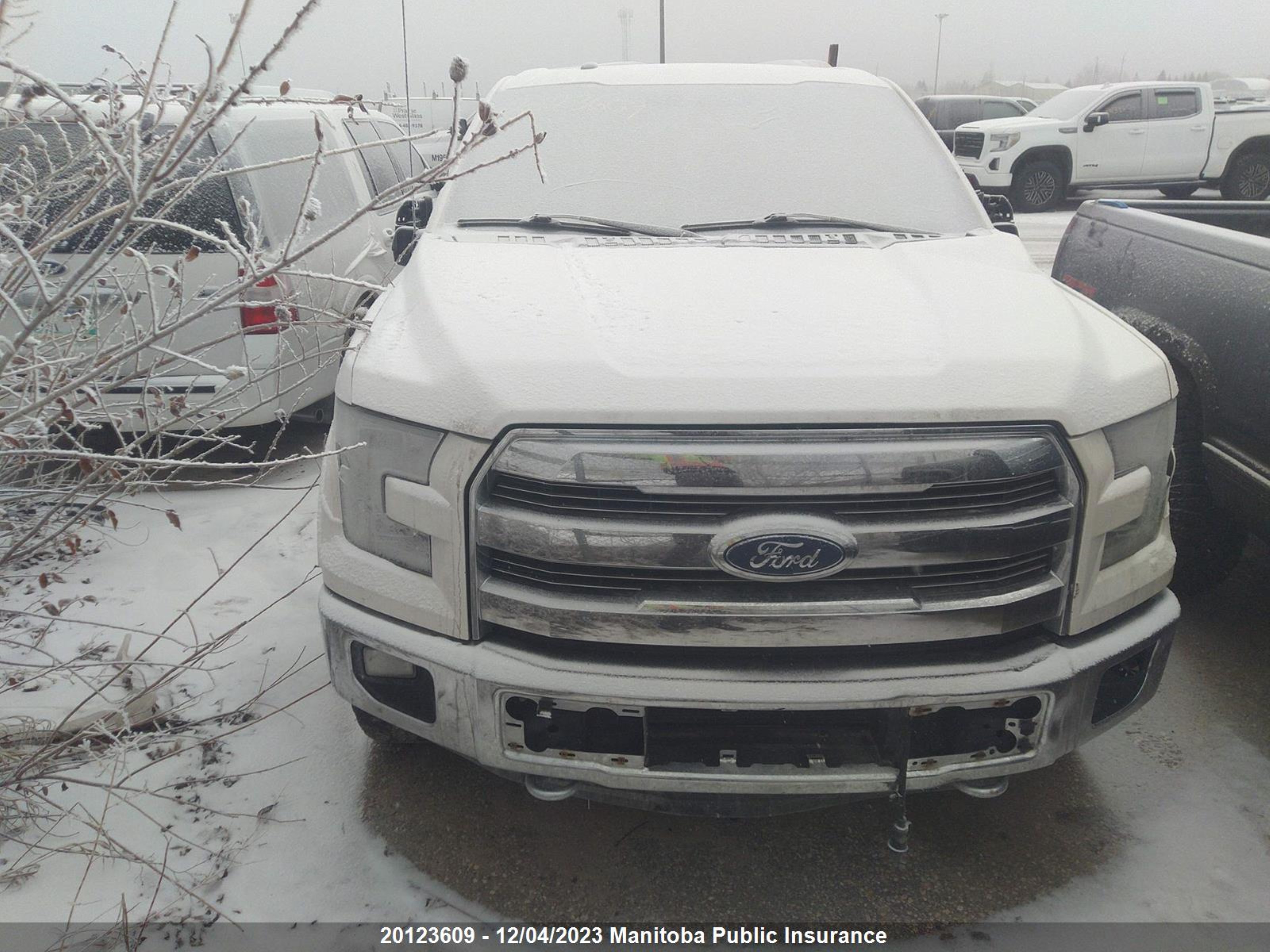 FORD NULL 2015 1ftew1egxffa44920