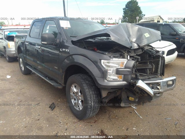 FORD F-150 2015 1ftew1egxffc70245