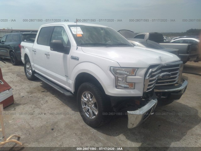 FORD F-150 2015 1ftew1egxfkd44805