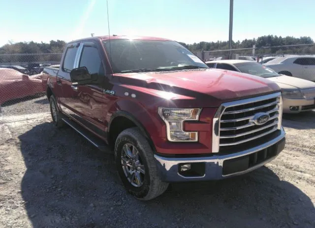 FORD F-150 2015 1ftew1ep0ffc12256