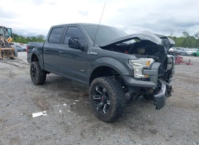 FORD F-150 2015 1ftew1ep0ffc61120