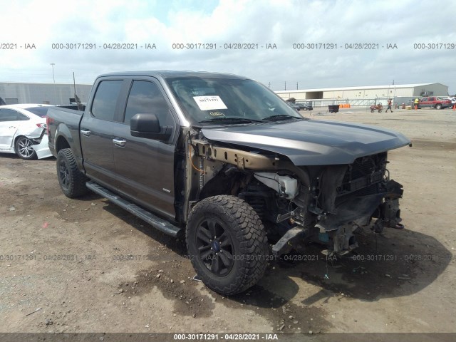 FORD F-150 2015 1ftew1ep0fke48770