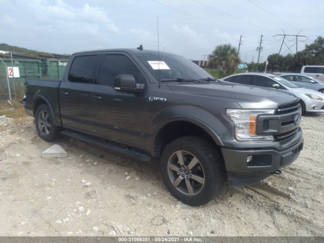 FORD F-150 2019 1ftew1ep0kfa39445