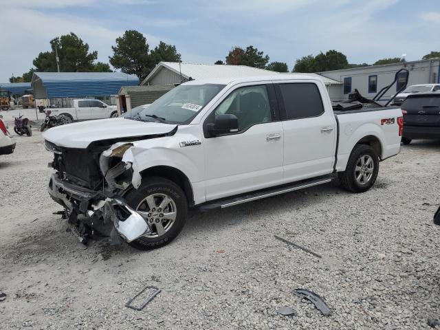 FORD F150 SUPER 2019 1ftew1ep0kke04990