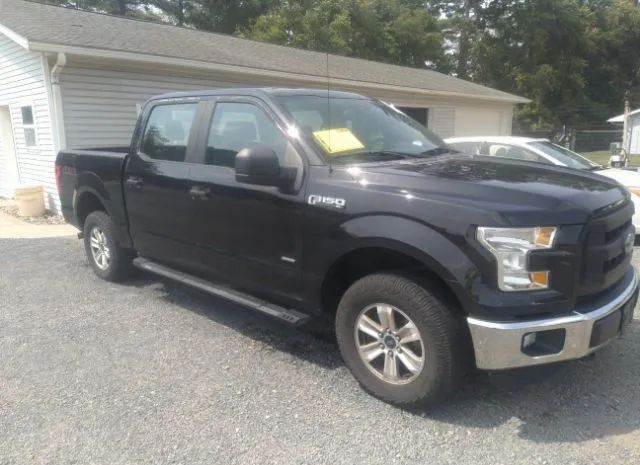 FORD F-150 2015 1ftew1ep1ffb21240