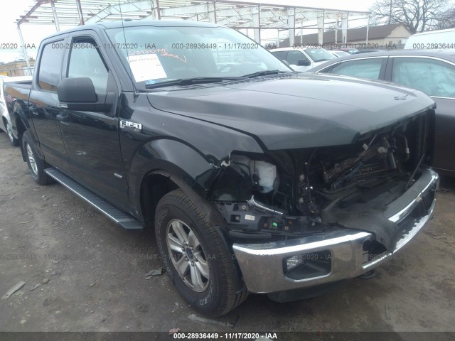 FORD F-150 2015 1ftew1ep1ffc81795