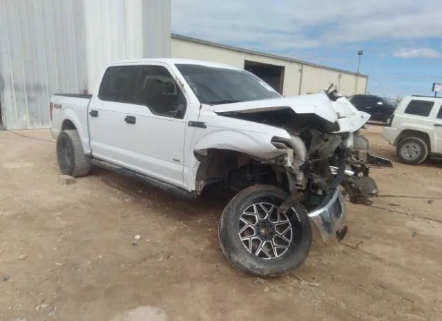 FORD F-150 2015 1ftew1ep1fkd01793