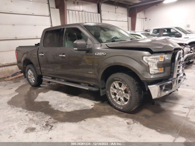 FORD F-150 2015 1ftew1ep1fke73791