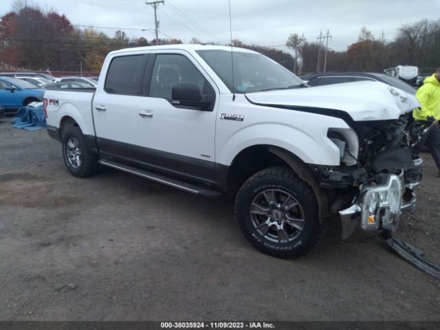 FORD F-150 2015 1ftew1ep2ffa62165