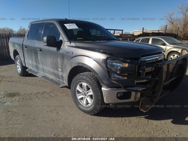 FORD F-150 2015 1ftew1ep2fkd58276