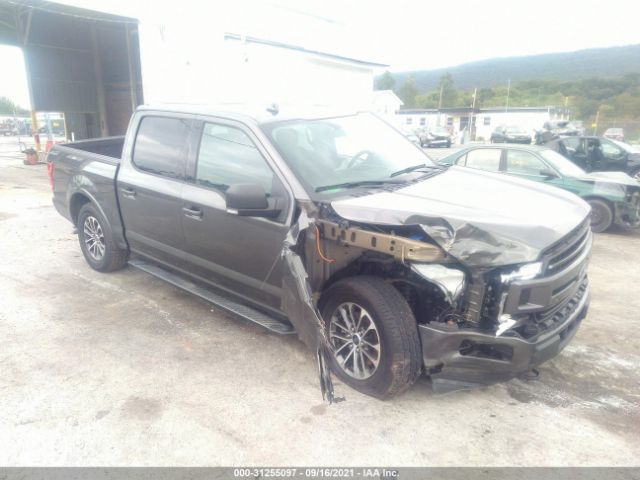 FORD F-150 2018 1ftew1ep2jfb82413