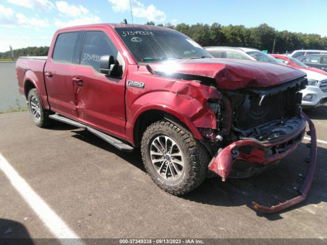 FORD F-150 2019 1ftew1ep2kfa33923