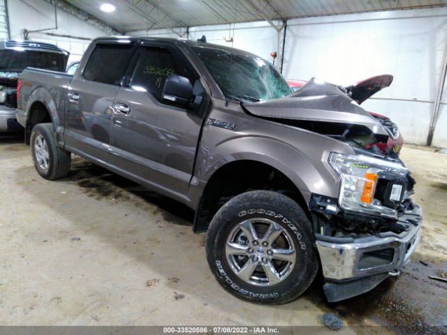 FORD F-150 2019 1ftew1ep2kfd43781