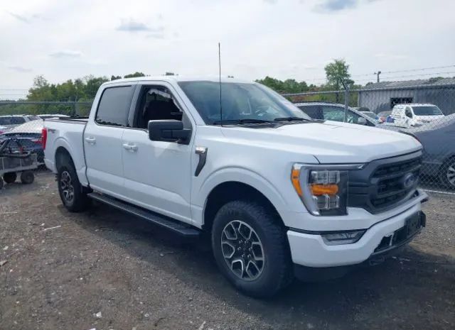 FORD F-150 2023 1ftew1ep2pfb52188