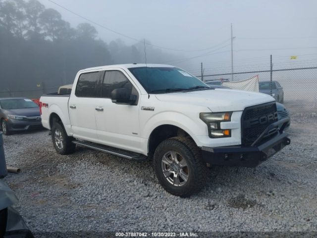 FORD F-150 2015 1ftew1ep3ffa99368