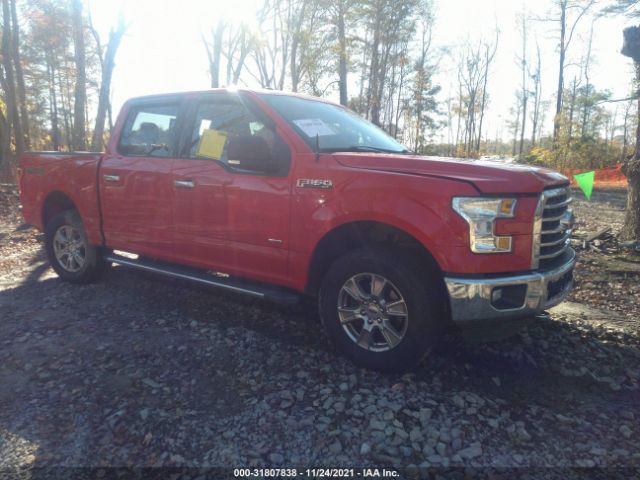 FORD F-150 2015 1ftew1ep3ffc75755