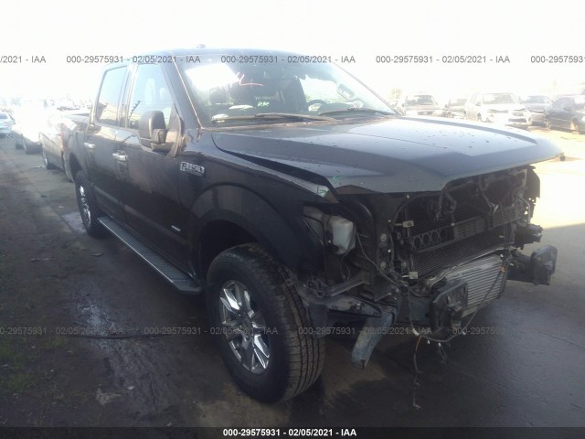 FORD F-150 2016 1ftew1ep3gke15943