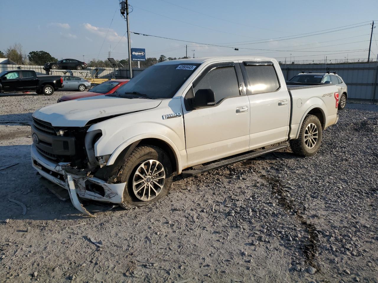 FORD F-150 2019 1ftew1ep3kfb59479