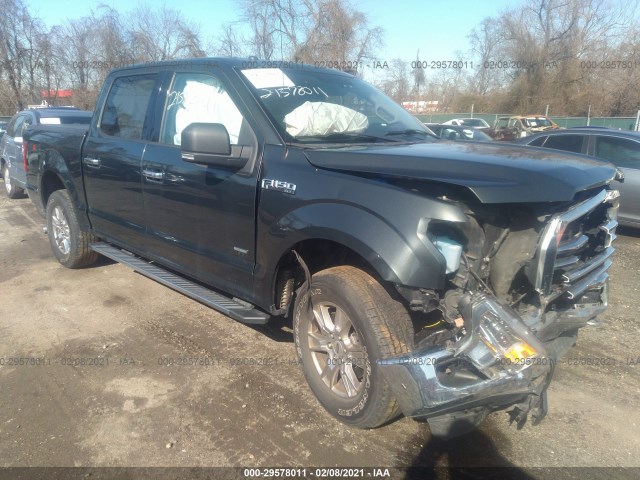 FORD F-150 2015 1ftew1ep4ffb36685