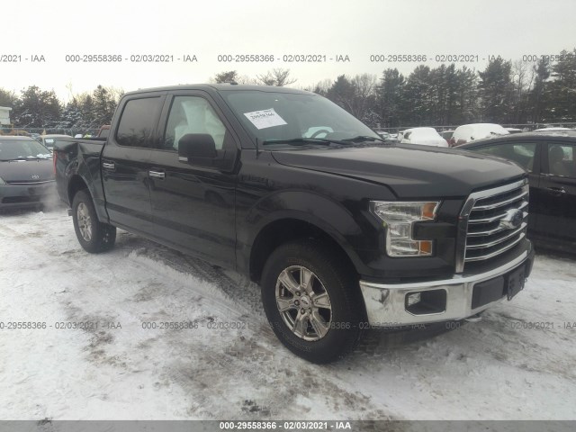 FORD F-150 2015 1ftew1ep4ffc25320