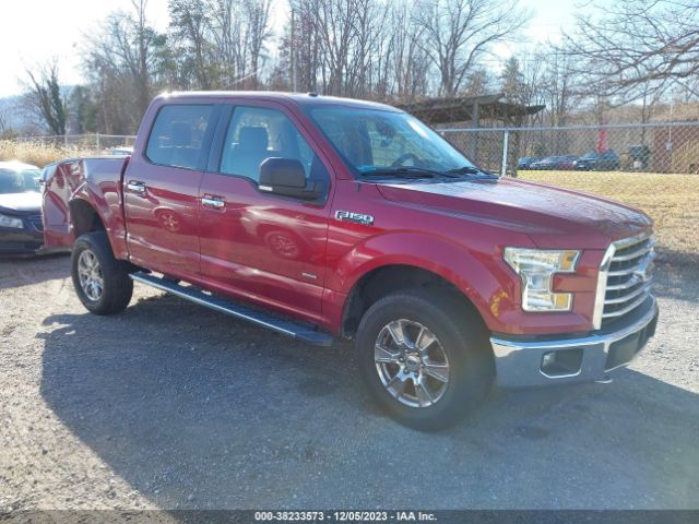 FORD F-150 2015 1ftew1ep4ffc31876