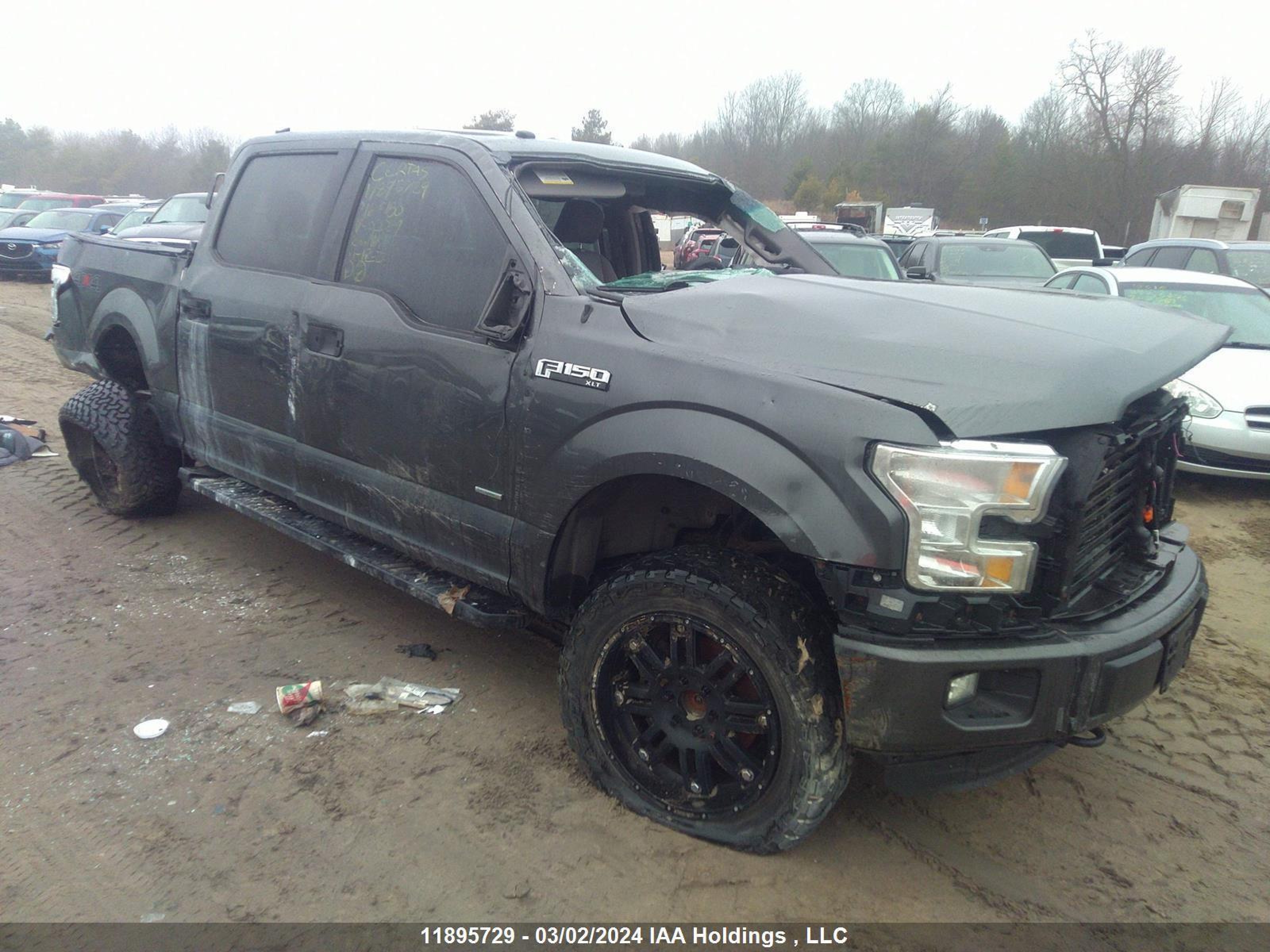 FORD F-150 2016 1ftew1ep4gfc02069