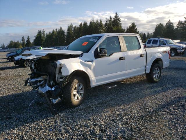 FORD F-150 2019 1ftew1ep4kkd13897