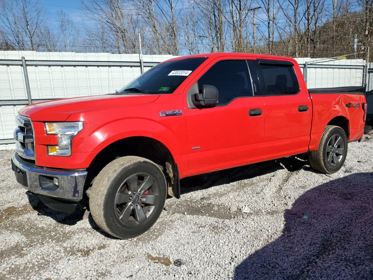 FORD F-150 2015 1ftew1ep5ffb00844