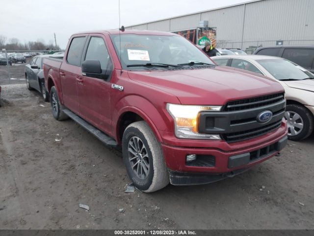 FORD F-150 2019 1ftew1ep5kfa95283