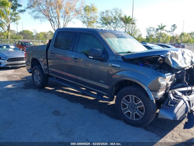 FORD F-150 2015 1ftew1ep6ffb89503