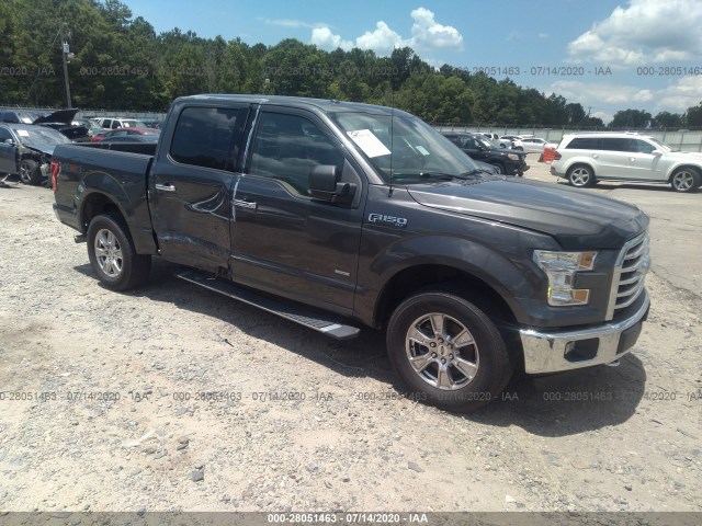 FORD F-150 2015 1ftew1ep6ffc45956