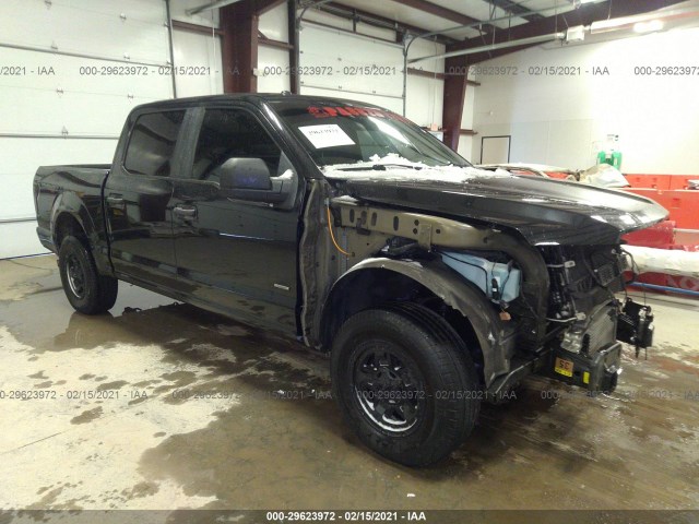 FORD F-150 2015 1ftew1ep6ffc57444