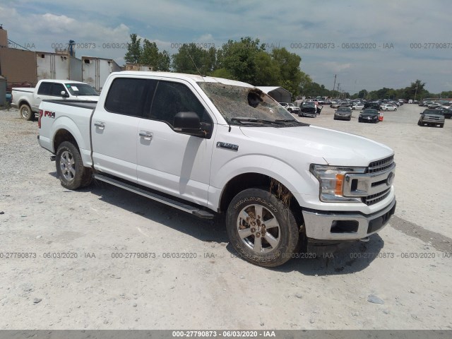 FORD F-150 2018 1ftew1ep6jkf66699