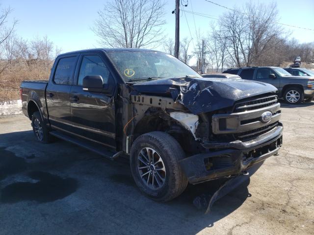 FORD F-150 2019 1ftew1ep6kfd23873