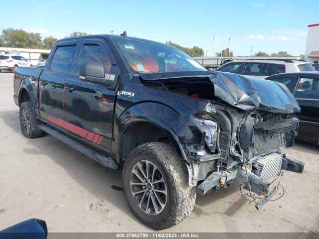 FORD F-150 2019 1ftew1ep6kkc01652