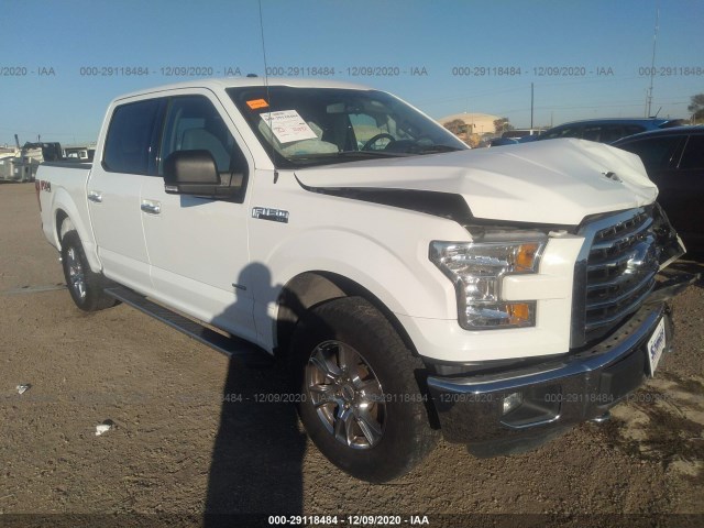 FORD F-150 2015 1ftew1ep7ffa23863