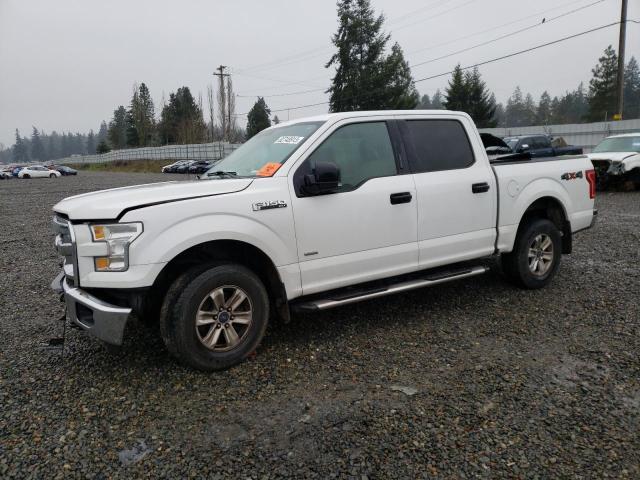 FORD F-150 2016 1ftew1ep7gfb46435