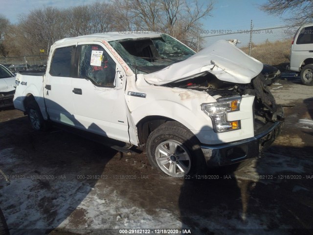 FORD F-150 2016 1ftew1ep7gkf10764