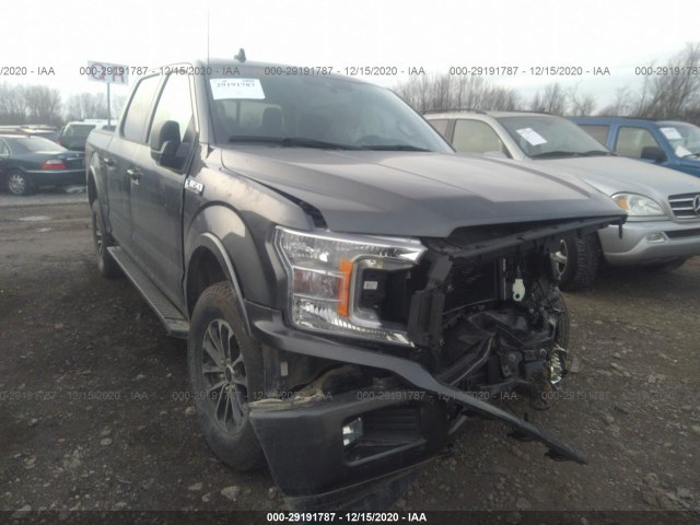 FORD F-150 2019 1ftew1ep7kfc30943