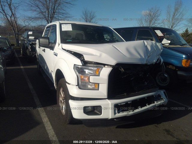 FORD F-150 2015 1ftew1ep8ffb65378