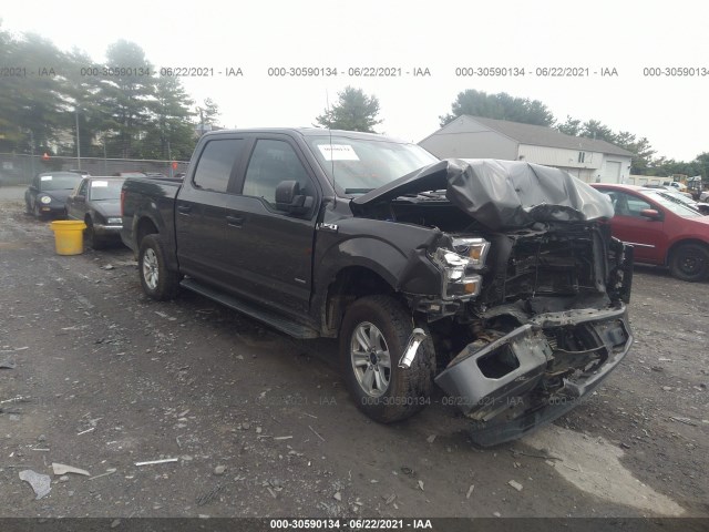 FORD F-150 2015 1ftew1ep8ffc44730