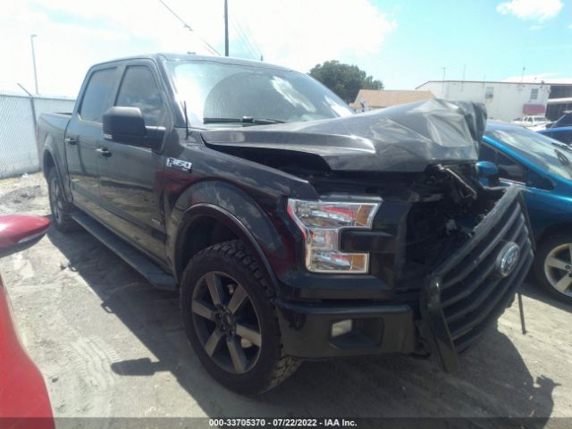 FORD F-150 2015 1ftew1ep8ffc74598