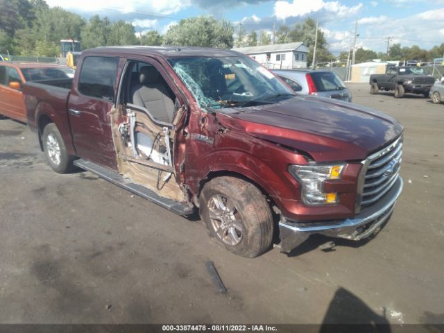 FORD F-150 2015 1ftew1ep8ffc83236