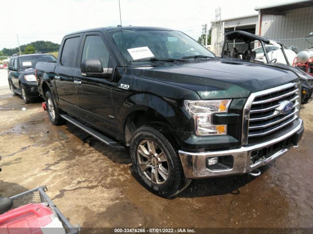 FORD F-150 2015 1ftew1ep8ffc90137