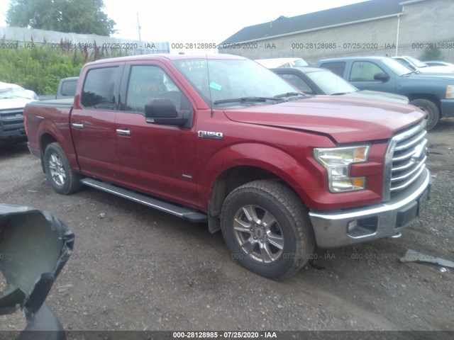 FORD F-150 2015 1ftew1ep8ffc94463