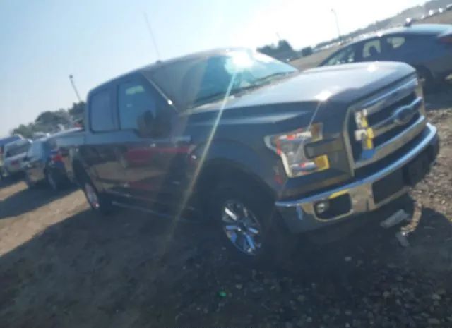 FORD F-150 2015 1ftew1ep8ffc98528