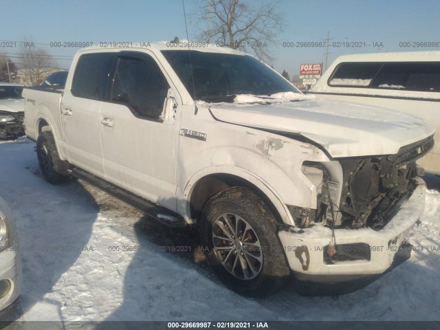 FORD F-150 2019 1ftew1ep8kfd31490